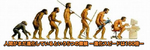evolution-variations11-1.jpg